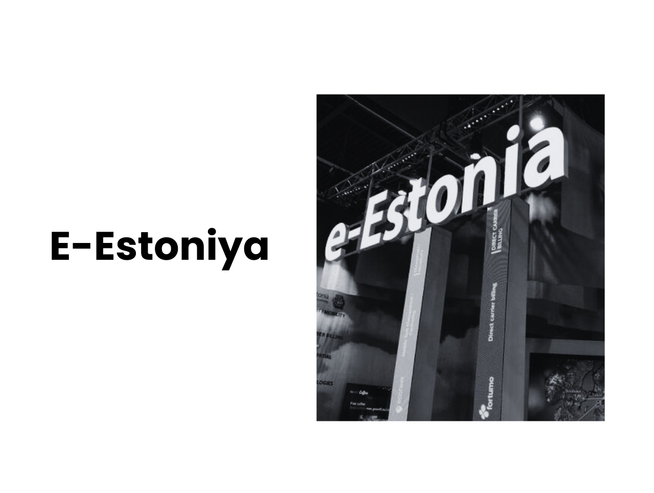 e-estonia