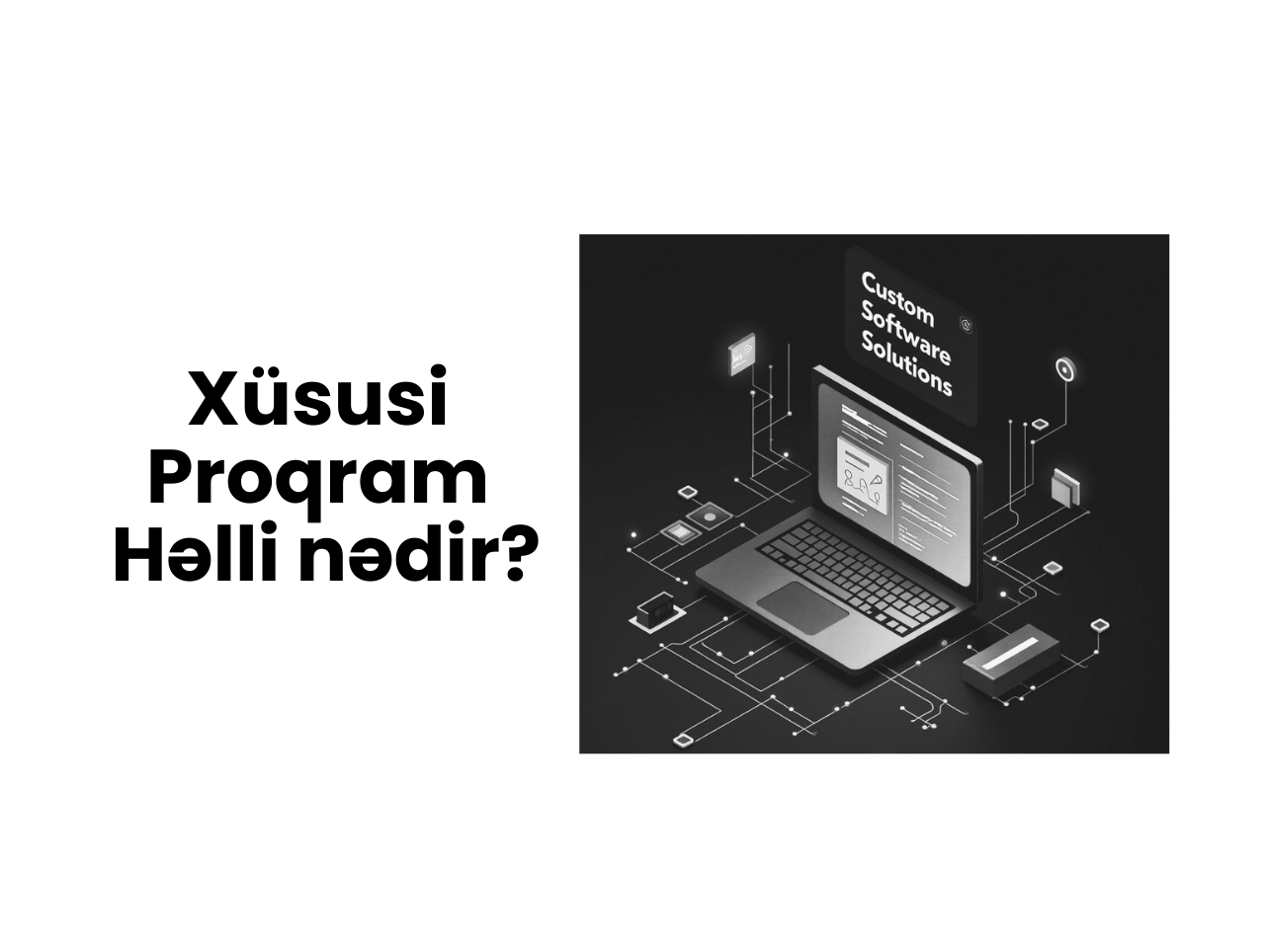 Xüsusi proqram həlli