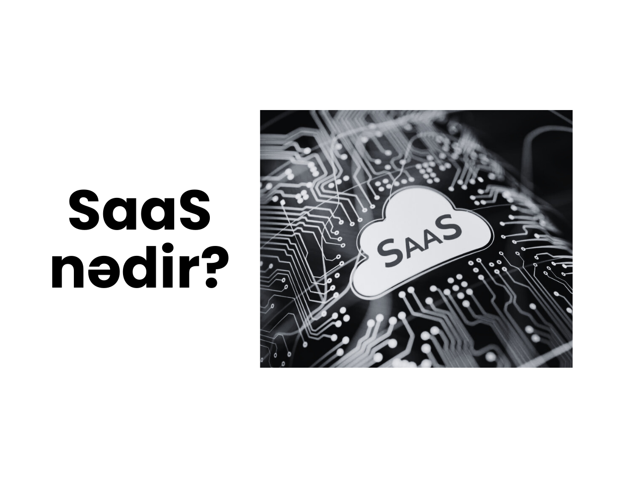 SaaS nədir