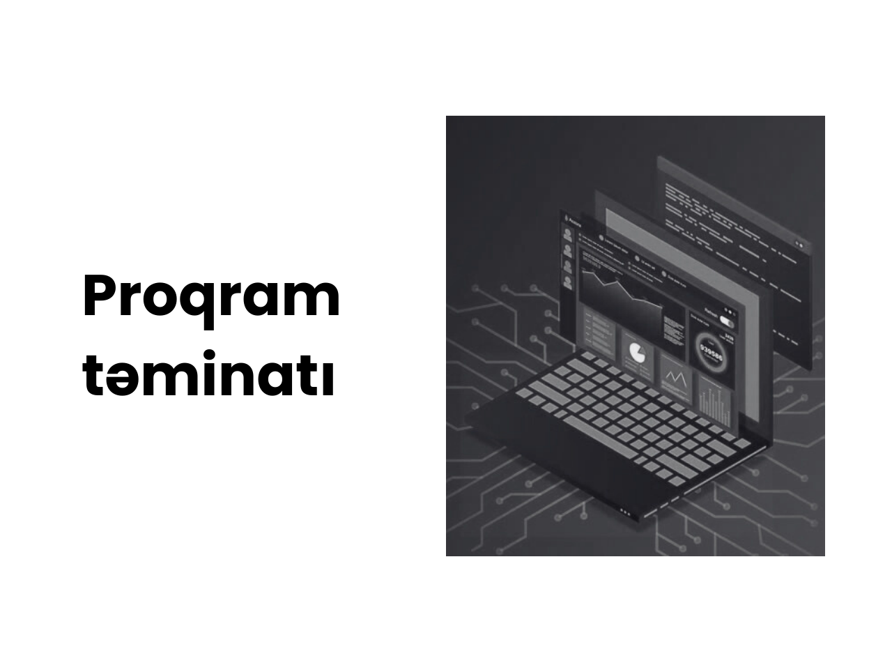 software development lifecycle