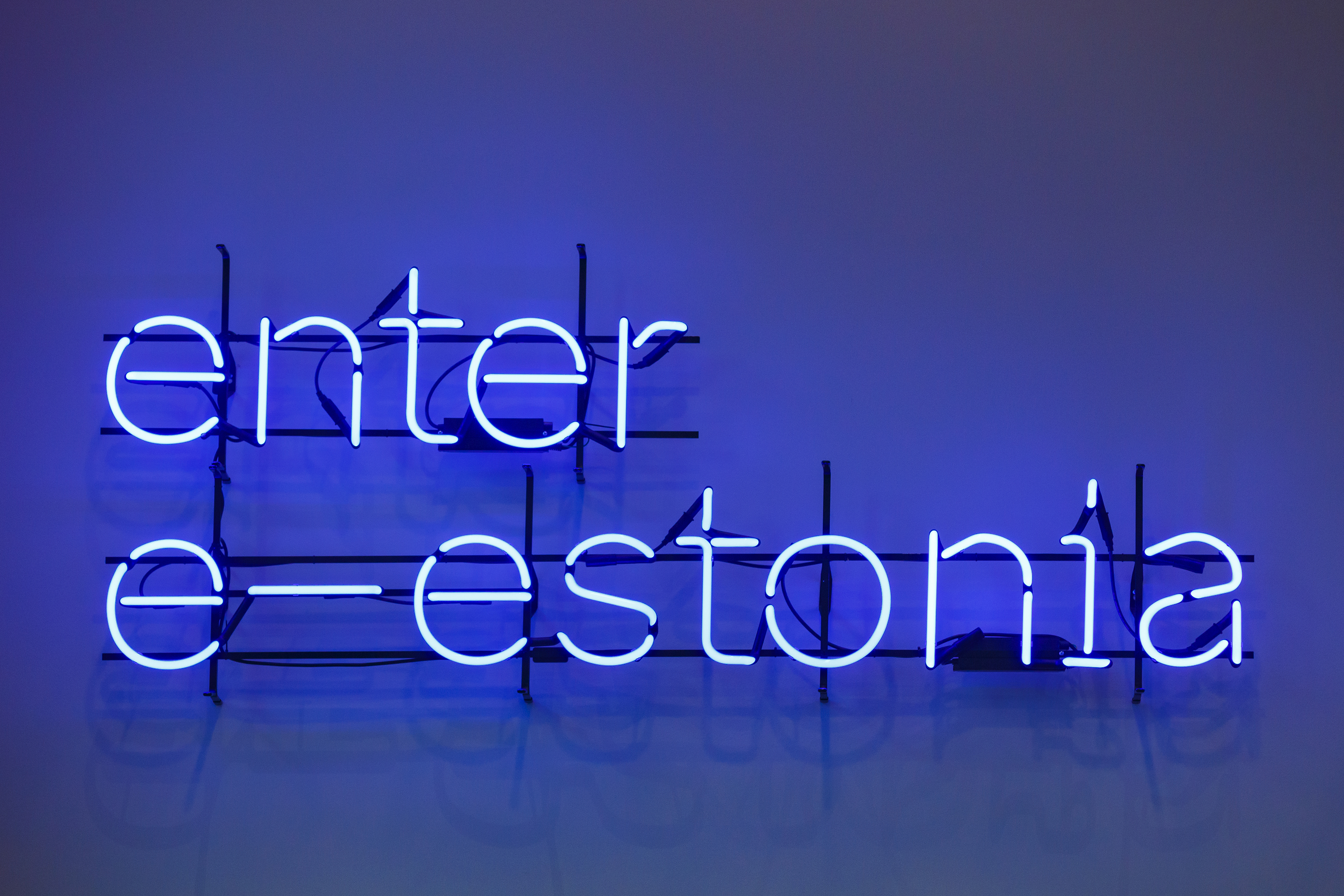 e-estonia